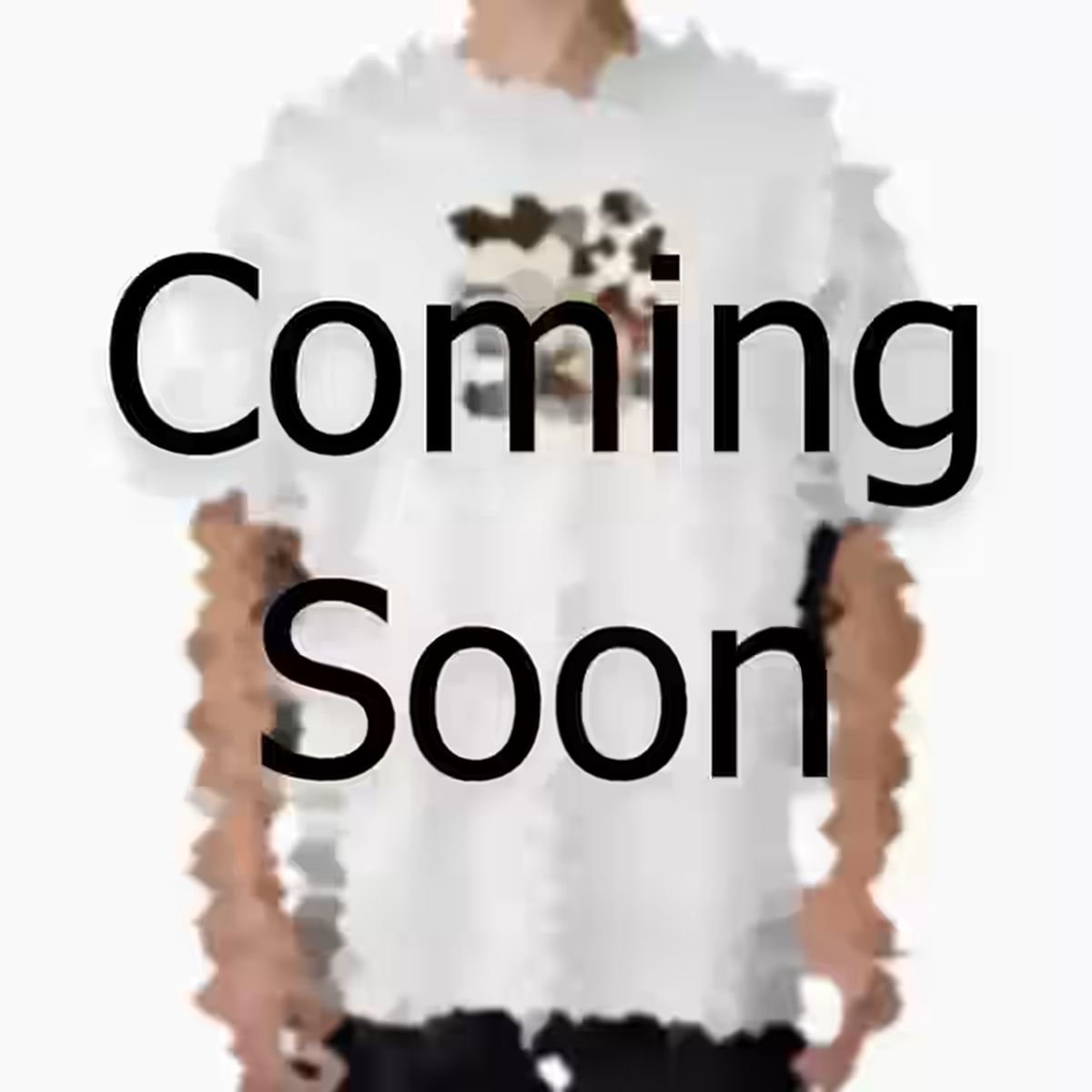 Burrito T-Shirt